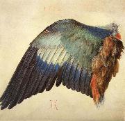 Albrecht Durer Wing of a Blue Roller Sweden oil painting artist
